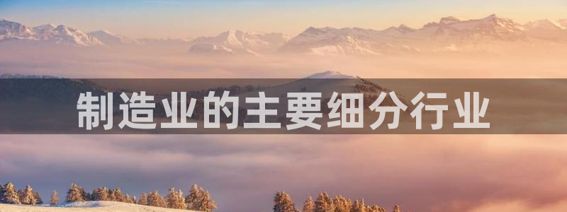 彩神购彩-购彩大厅入口500：制造业的主要细分行业