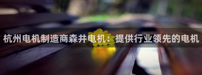 下载彩神通关注金码：杭州电机制造商森井电机：提供行业领先的电机