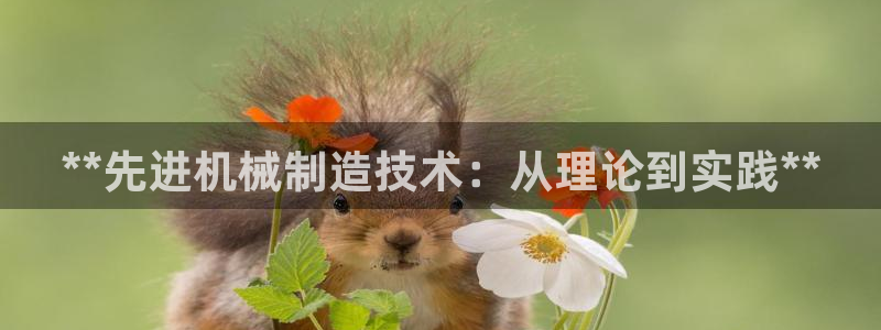 彩神vll官网-最新版app下载：**先进机械制造技术：从理论到实践**