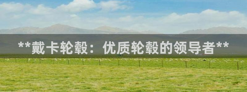 彩神vip购彩大厅在哪：**戴卡轮毂：优质轮毂的领导者**