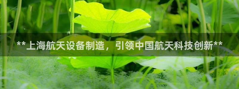 彩神平台注册登录：**上海航天设备制造，引领中国航天科技创新**