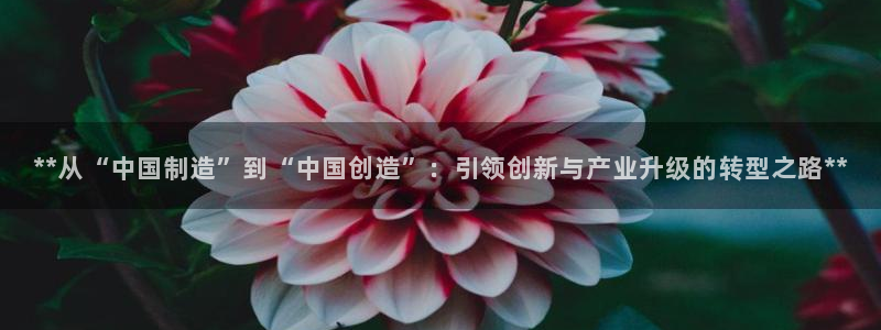 有谁知道彩神争霸的网址：**从“中国制造”到“中国创造”：引领创新与产业升级的转型之路**