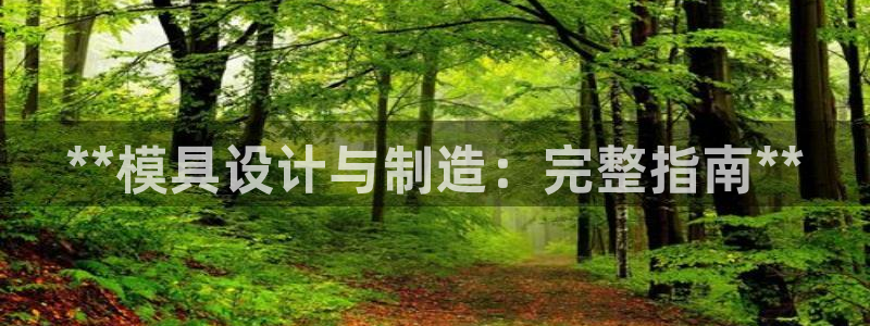 彩神vlll官方网：**模具设计与制造：完整指南**