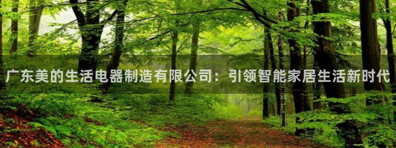 大发彩神争：广东美的生活电器制造有限公司：引领智能家居生活新时代