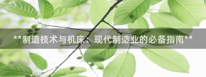 新版彩神v8登录教程：**制造技术与机床：现代制造业的必备指南**