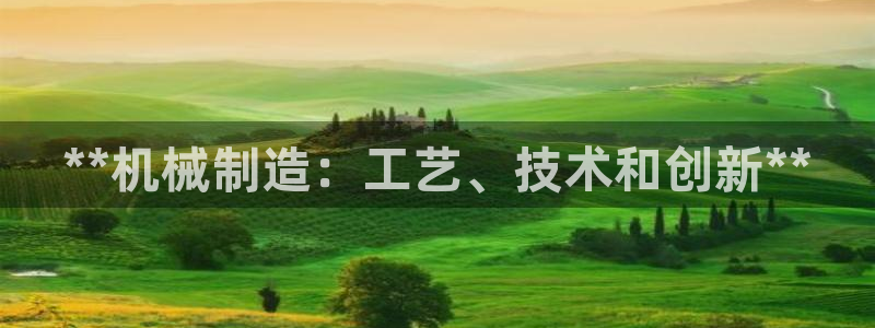 彩神v8几个版本：**机械制造：工艺、技术和创新**