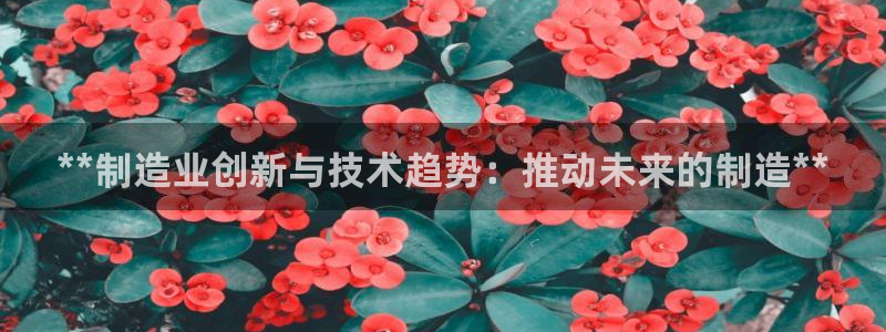 彩神网官网登录：**制造业创新与技术趋势：推动未来的制造**