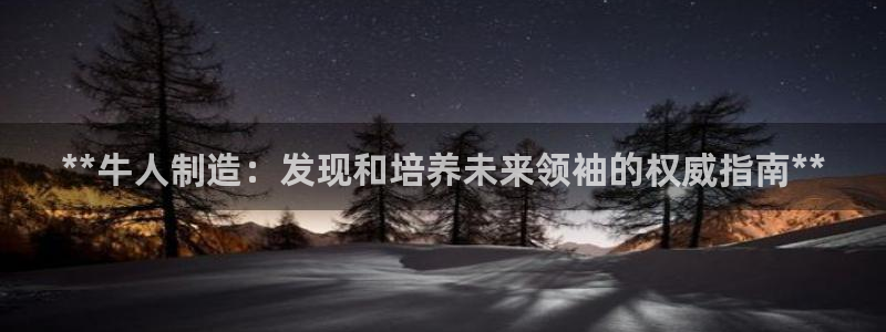 彩神赢钱了吗知乎：**牛人制造：发现和培养未来领袖的权威指南**