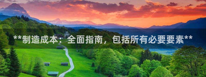 彩神数码科技有限公司：**制造成本：全面指南，包括所有必要要