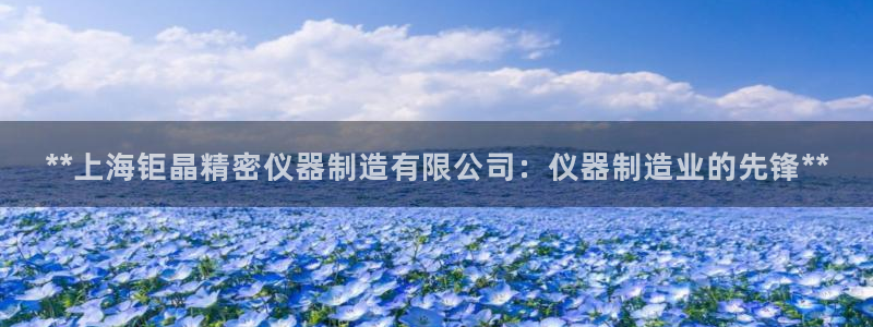彩神V3大赢家：**上海钜晶精密仪器制造有限公司：仪器制造业的先锋**