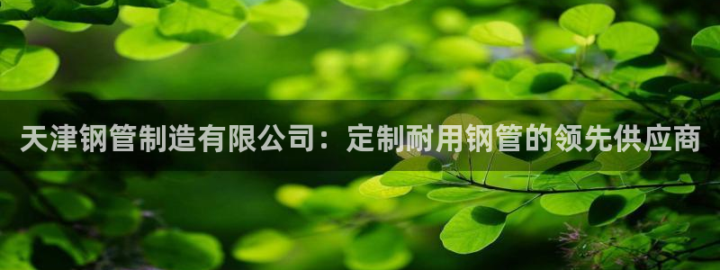 彩神vlll游戏特色：天津钢管制造有限公司：定制耐用钢管的领先供应商
