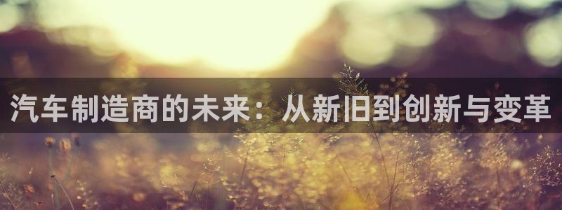 彩神x平台靠什么盈利：汽车制造商的未来：从新旧到创新与变革