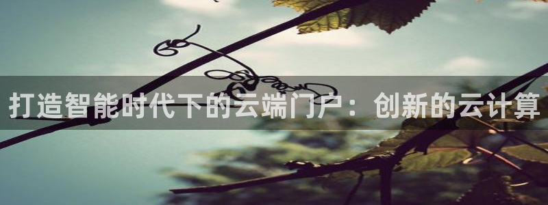 彩神x平台靠什么盈利：打造智能时代下的云端门户：创新的云计算