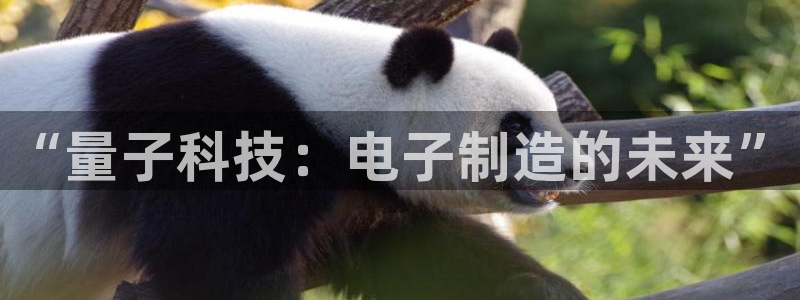 彩神用户登录：“量子科技：电子制造的未来”