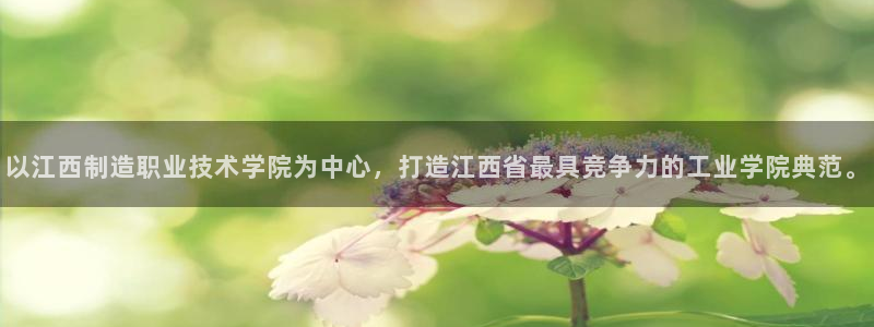 大发彩神最高邀请码：以江西制造职业技术学院为中心，打造江西省最具竞争力的工业学院典范。