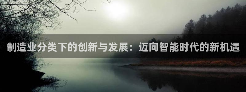 彩神平台可以破解吗：制造业分类下的创新与发展：迈向智能时代的新机遇
