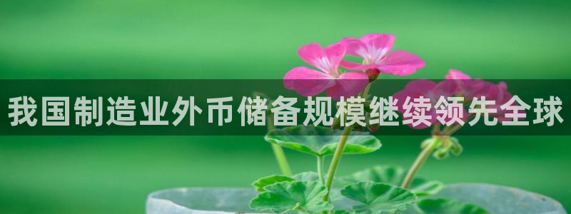 彩神官方邀请码是多少：我国制造业外币储备规模继续领先全球