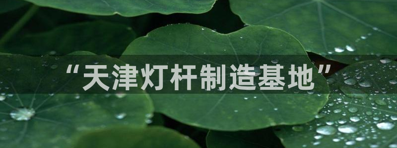 彩神ix官网：“天津灯杆制造基地”