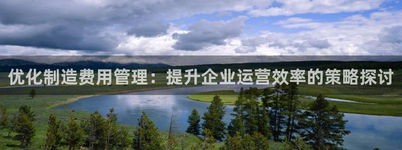 下载彩神争霸谁与我争锋：优化制造费用管理：提升企业运营效率的