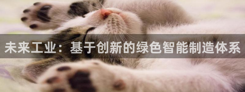 彩神大发云：未来工业：基于创新的绿色智能制造体系