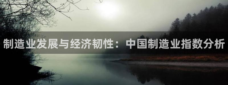 彩神广告有限公司：制造业发展与经济韧性：中国制造业指数分析
