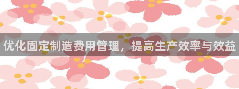 彩神争霸平台：优化固定制造费用管理，提高生产效率与效益