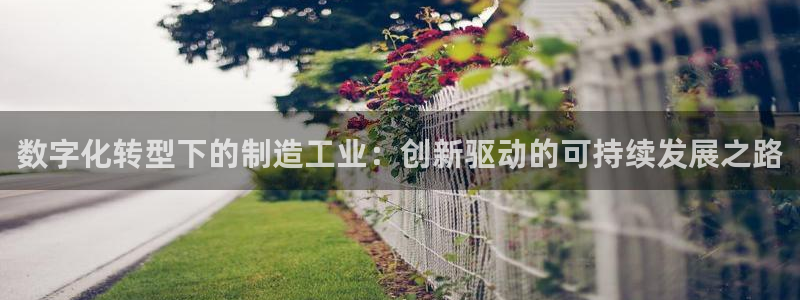 彩神通关注码金码对应码：数字化转型下的制造工业：创新驱动的可持续发展之路