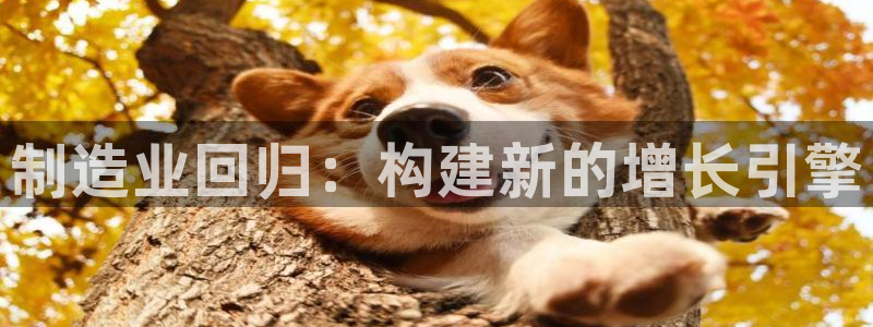 彩神ios下载：制造业回归：构建新的增长引擎