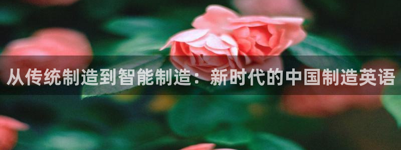 彩神网可以赚钱是真的吗：从传统制造到智能制造：新时代的中国制造英语