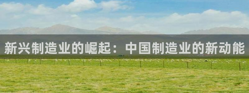彩神官方网站登录是多少：新兴制造业的崛起：中国制造业的新动能