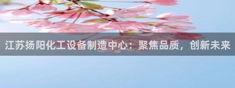 彩神大发黑平台：江苏扬阳化工设备制造中心：聚焦品质，创新未来