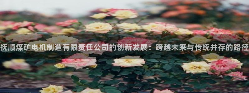 彩神购彩-购彩大厅入口老版：抚顺煤矿电机制造有限责任公司的创新发展：跨越未来与传统并存的路径