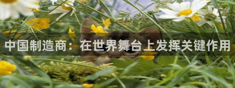 彩神8app官方下载：中国制造商：在世界舞台上发挥关键作用