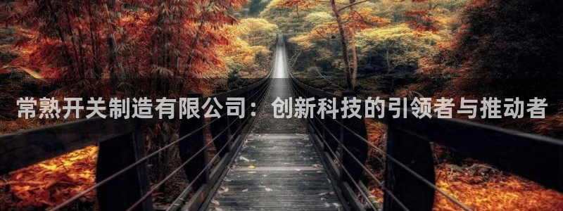 彩神ll能赚钱吗：常熟开关制造有限公司：创新科技的引领者与推动者