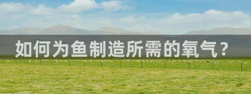 彩神8最新版下载：如何为鱼制造所需的氧气？