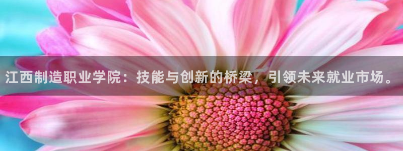 彩神8官网版：江西制造职业学院：技能与创新的桥梁，引领未来就