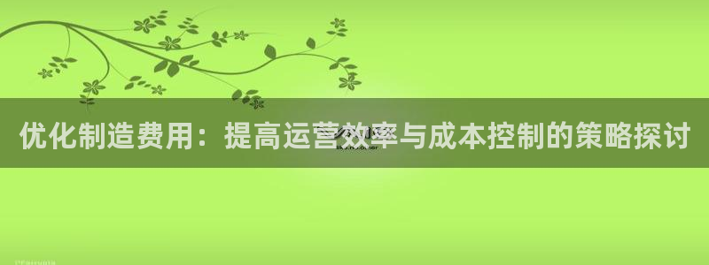 下载彩神通关注金码：优化制造费用：提高运营效率与成本控制的策略探讨