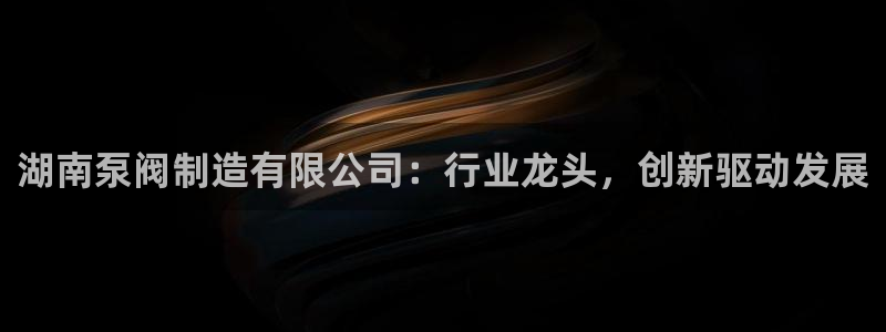 彩神平台是真的吗：湖南泵阀制造有限公司：行业龙头，创新驱动发展
