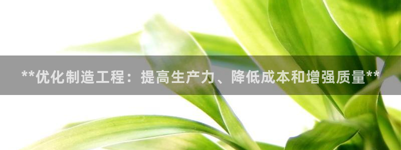 彩神vlll游戏特色：**优化制造工程：提高生产力、降低成本