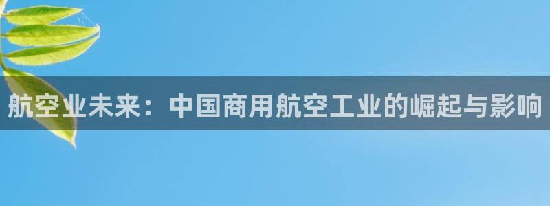 彩神v8app：航空业未来：中国商用航空工业的崛起与影响
