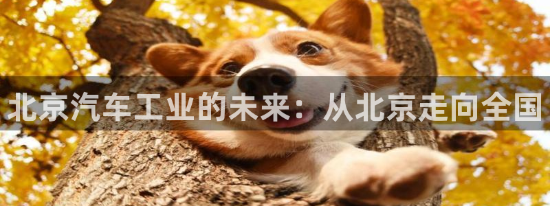 彩神通官网下载：北京汽车工业的未来：从北京走向全国