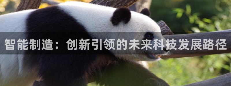 彩神8软件下载：智能制造：创新引领的未来科技发展路径