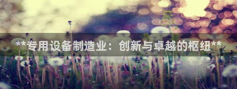 彩神趣购彩用户注册：**专用设备制造业：创新与卓越的枢纽**