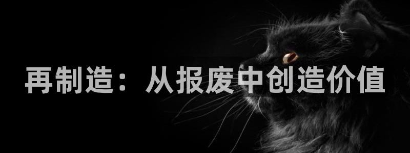 彩神v：再制造：从报废中创造价值